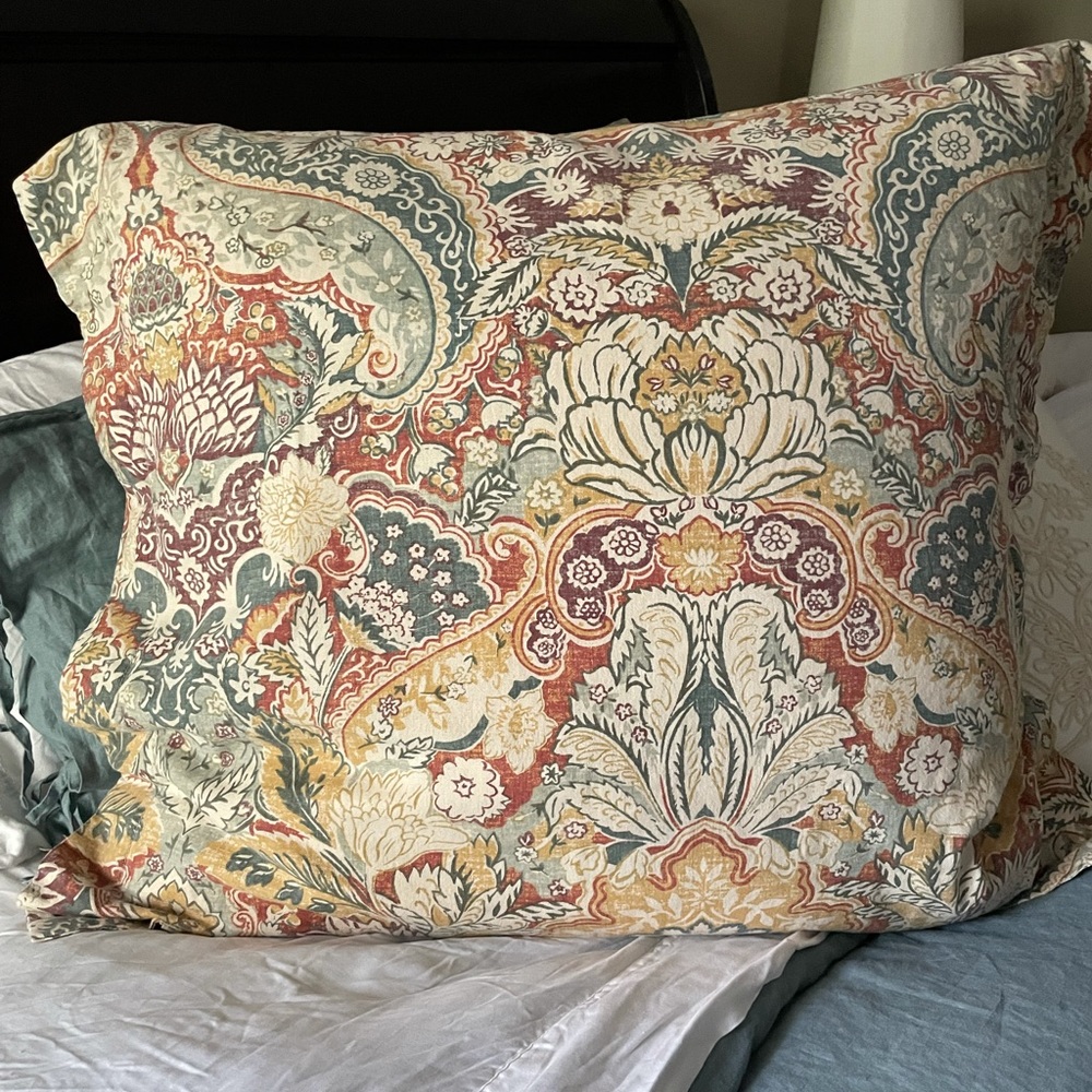 Pottery Barn Euro Shams (set)